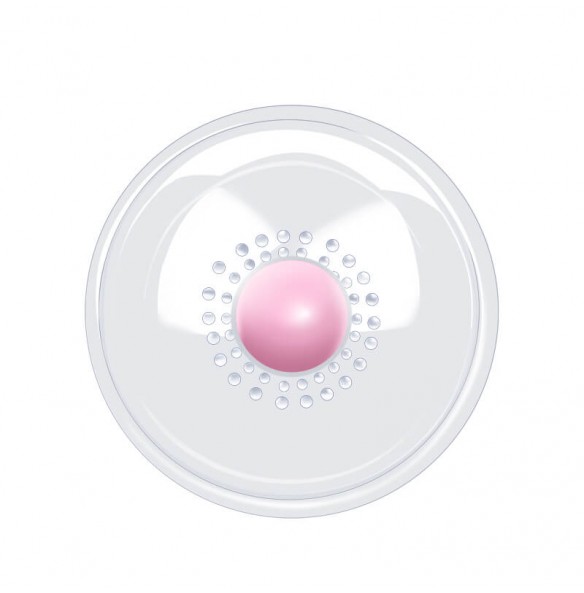 MIZZZEE - Nipple Vibrator Breast Massage Clitoris Stimulator (Chargeable - Transparent)